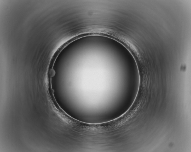 X0000100380936200806131056