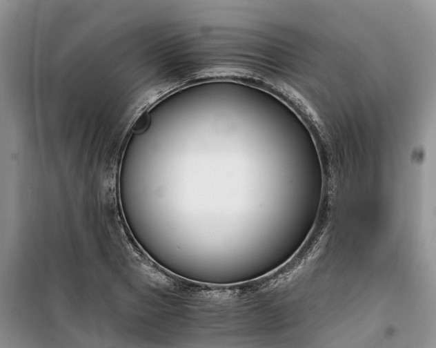 X0000100380937200806131056