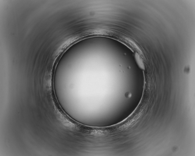 X0000100380938200806131056
