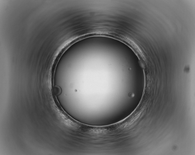 X0000100380939200806131056