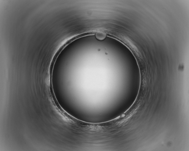 X0000100380940200806131056