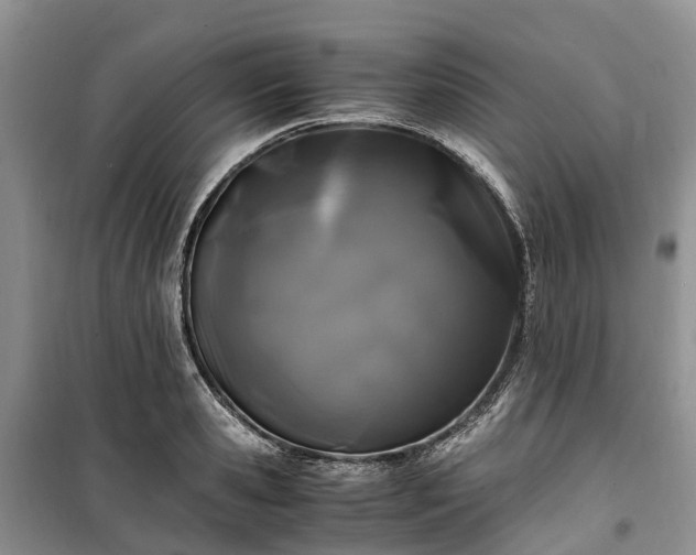 X0000100380941200806131056