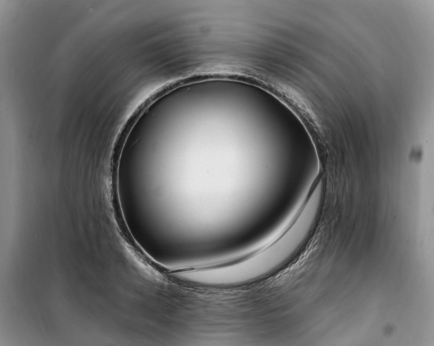 X0000100380942200806131056