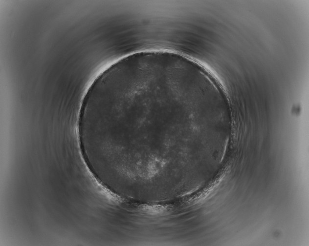 X0000100380943200806131056