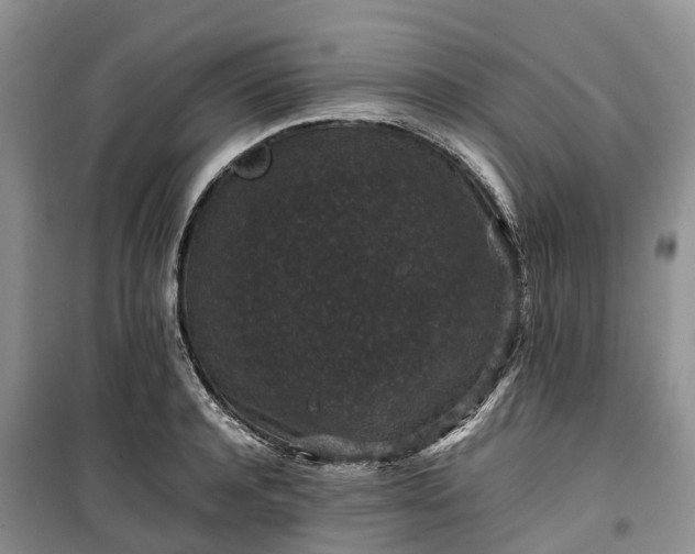 X0000100380944200806131056