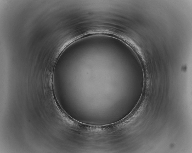 X0000100380945200806131056