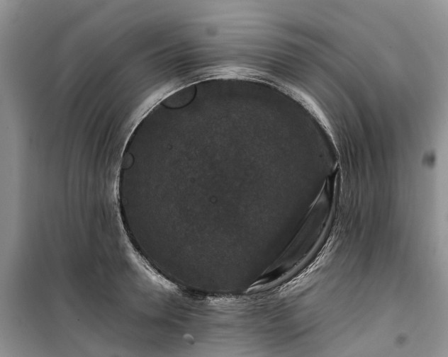 X0000100380946200806131056