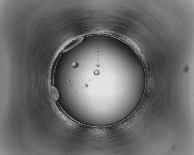 X0000100380947200806131056