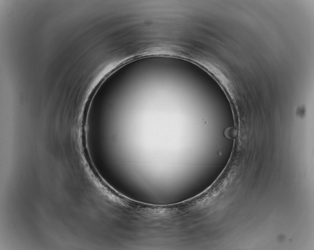 X0000100380949200806131056