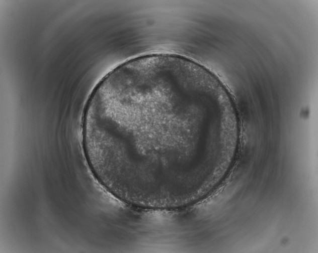 X0000100380950200806131056
