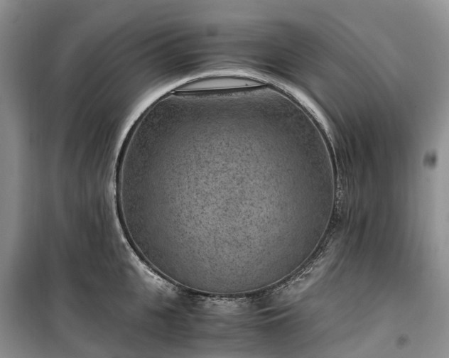 X0000100380951200806131056