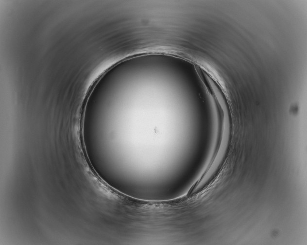 X0000100380952200806131056