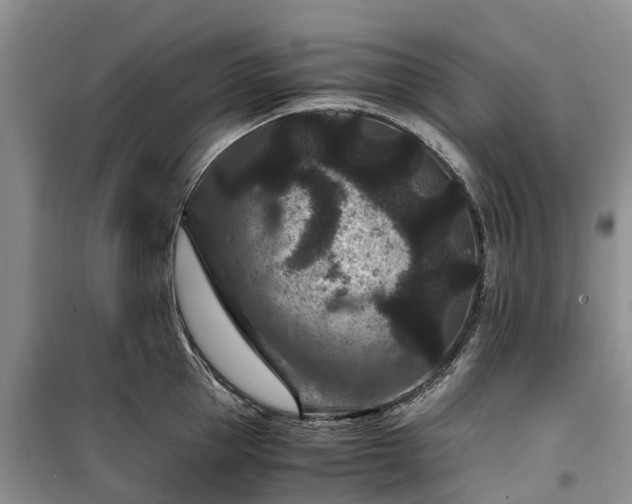 X0000100380953200806131057