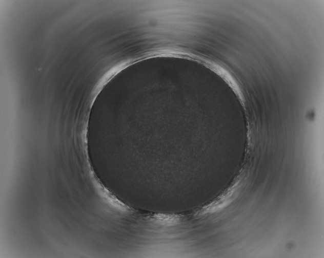 X0000100380954200806131057