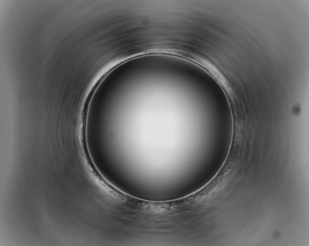X0000100380955200806131057