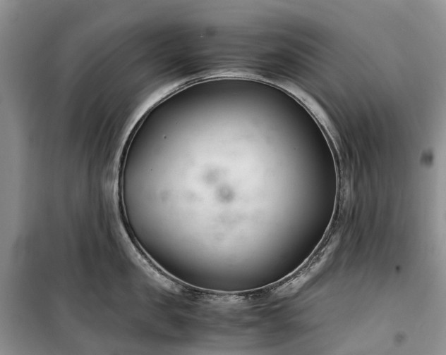 X0000100380957200806131057