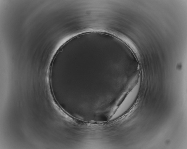 X0000100380958200806131057