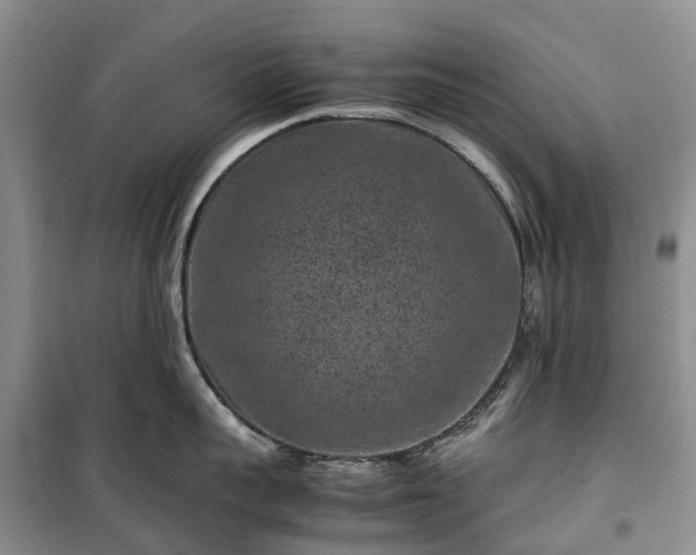 X0000100380959200806131057