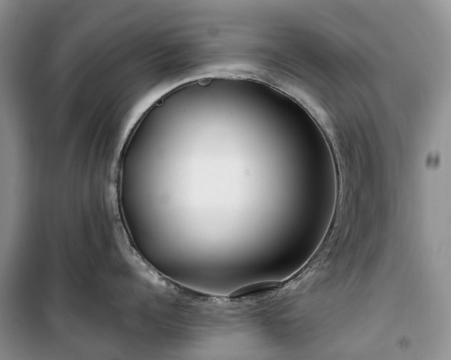 X0000100380960200806131057