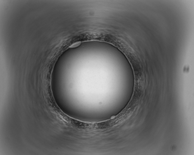 X0000100380961200806131056