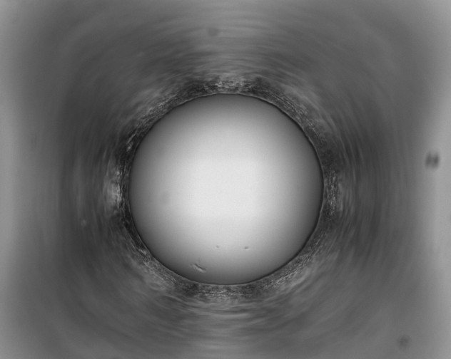 X0000100380962200806131056