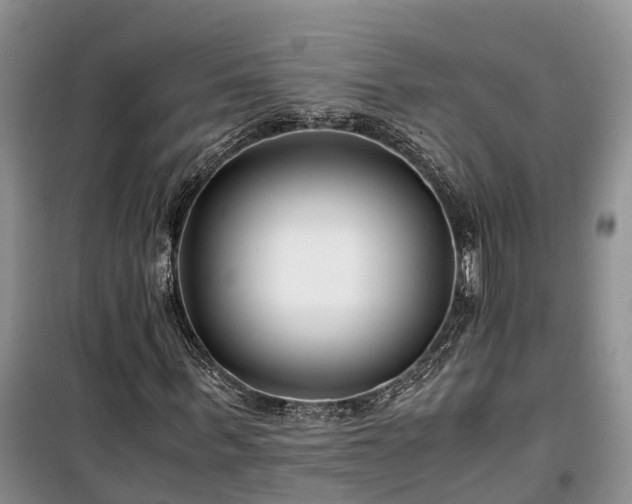 X0000100380963200806131056