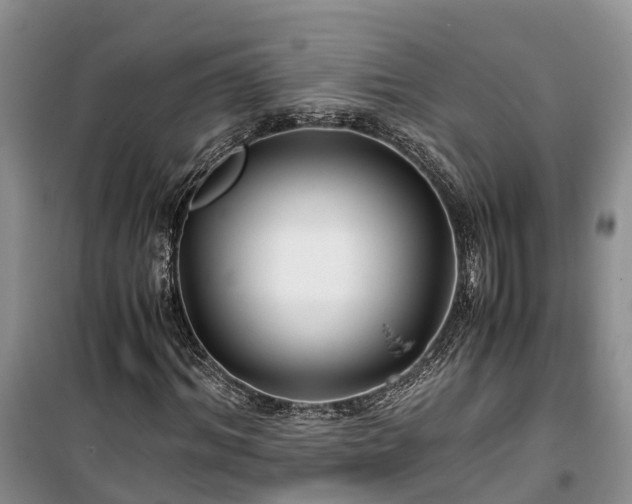 X0000100380964200806131056