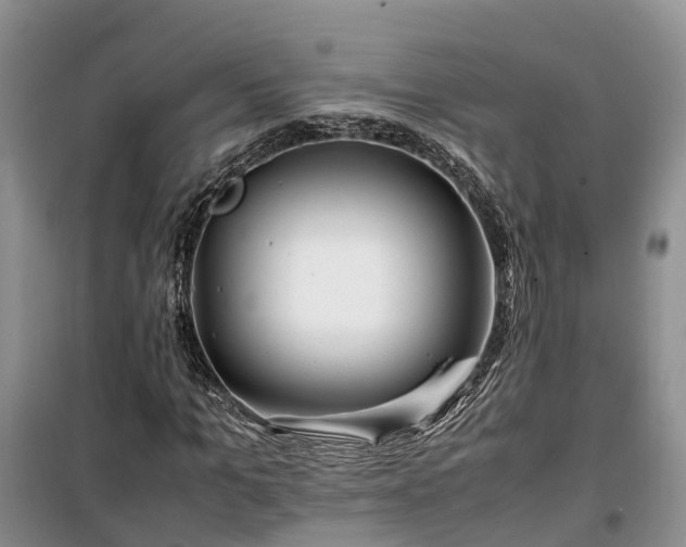 X0000100380965200806131056