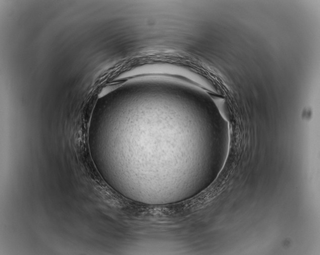 X0000100380966200806131056
