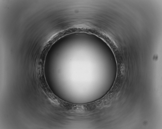 X0000100380968200806131056