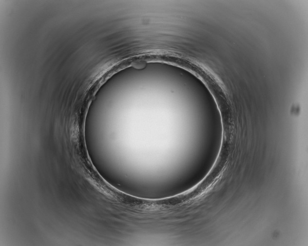 X0000100380969200806131056