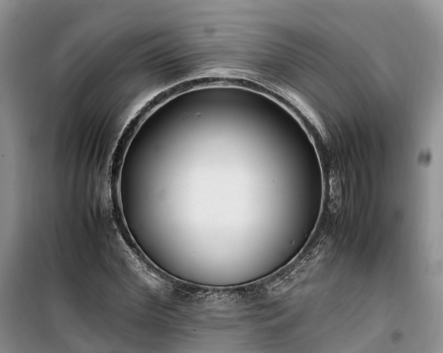 X0000100380972200806131056