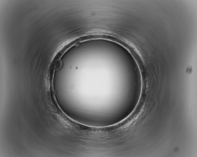 X0000100380973200806131056