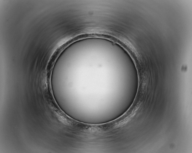 X0000100380974200806131056