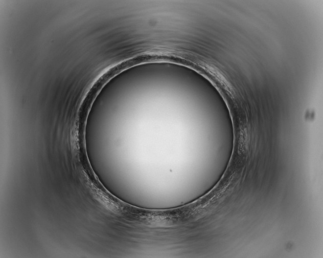 X0000100380976200806131056