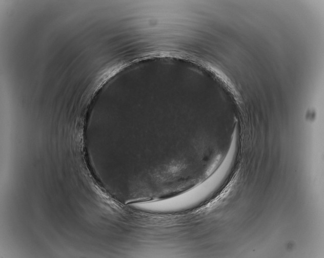 X0000100380977200806131056