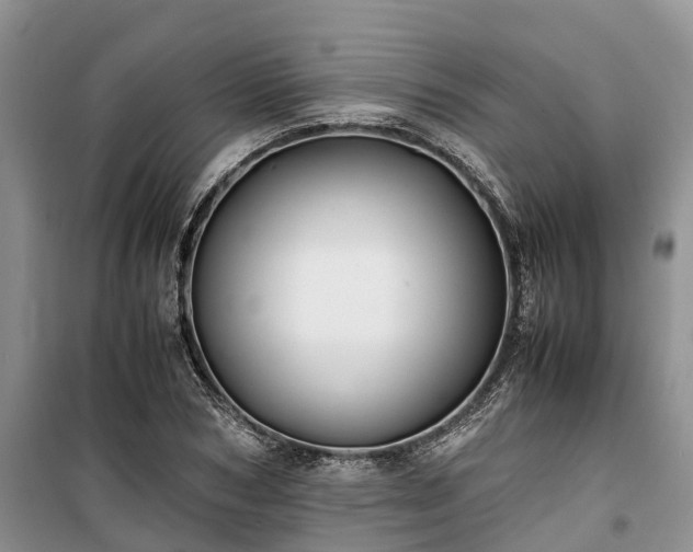 X0000100380978200806131056