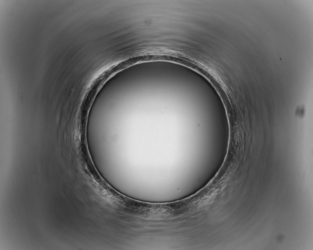 X0000100380979200806131056