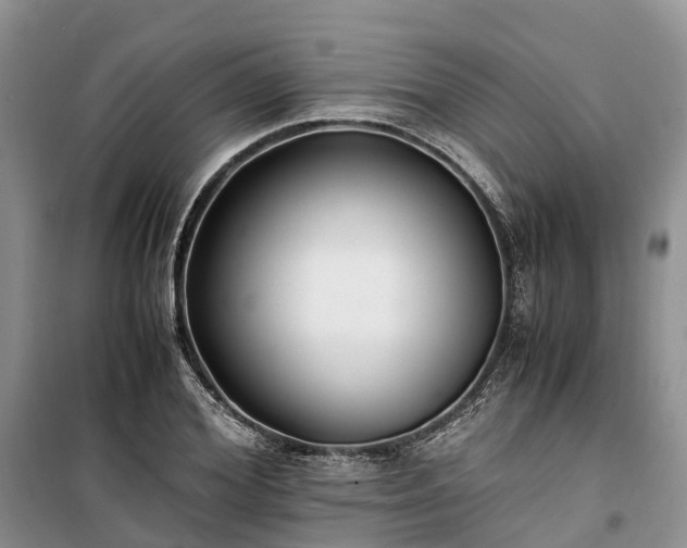 X0000100380980200806131056