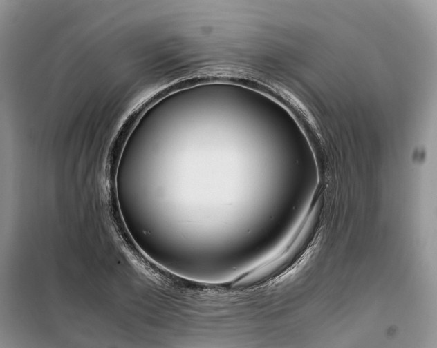 X0000100380981200806131056