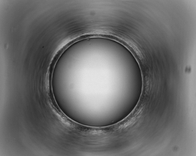 X0000100380982200806131056