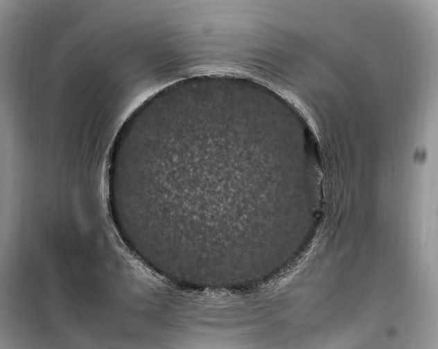 X0000100380983200806131056