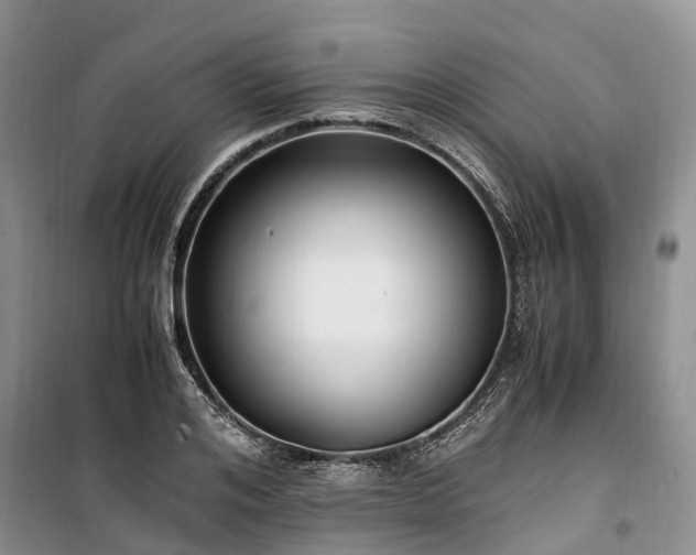 X0000100380984200806131056