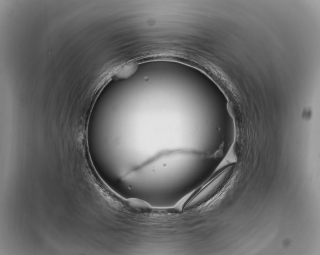 X0000100380985200806131056