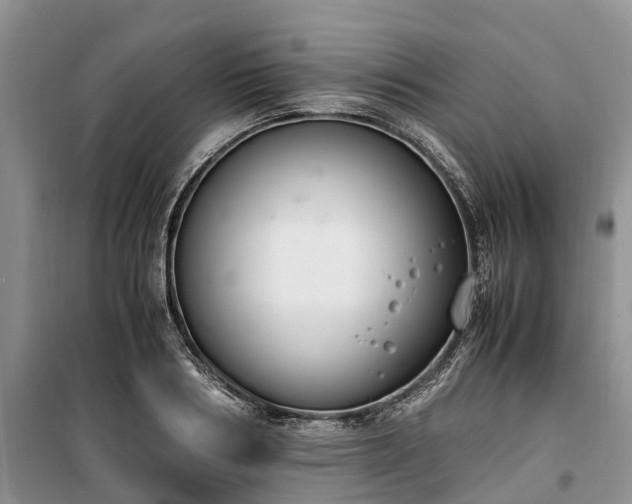 X0000100380986200806131056