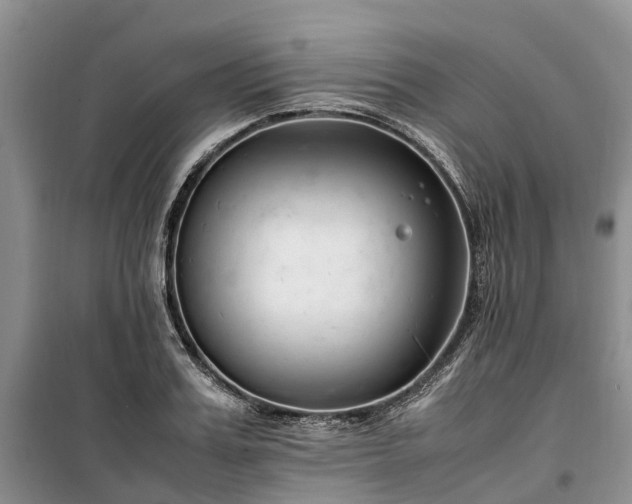 X0000100380987200806131056