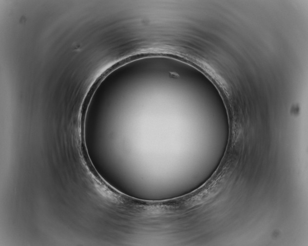 X0000100380988200806131056