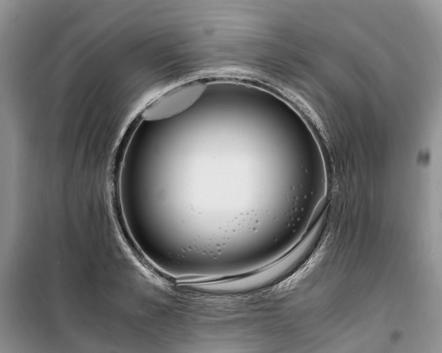X0000100380989200806131056