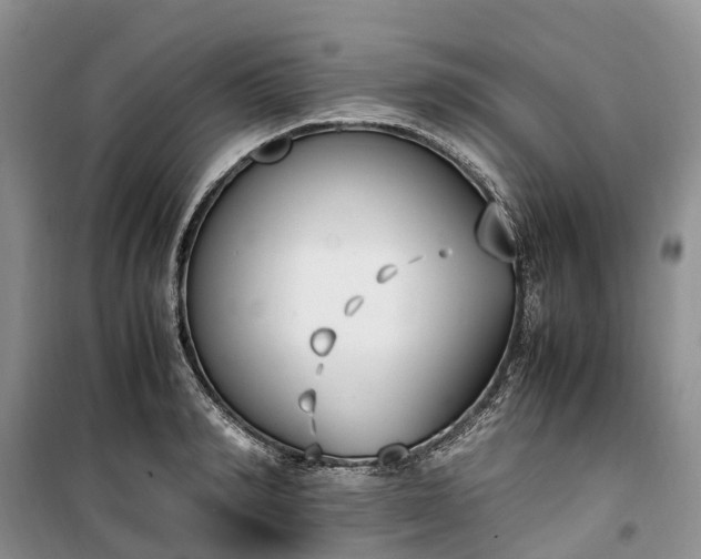 X0000100380990200806131056