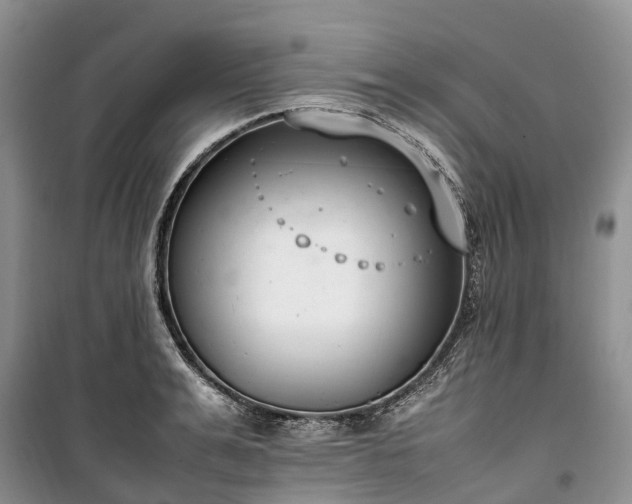 X0000100380991200806131056